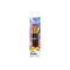 Artist Brush Set Assorted 6pc