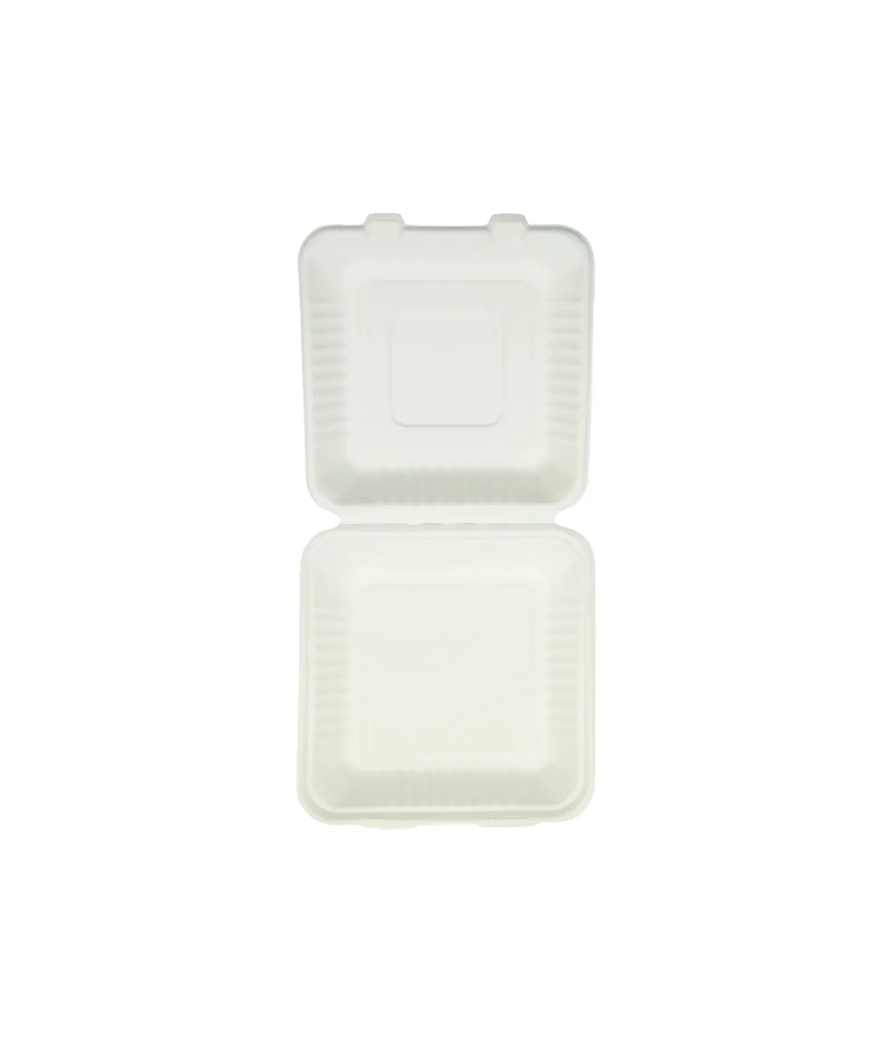 Biodegradable Clamshell Container 23.5cm 10pc
