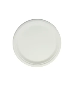 Biodegradable Plate 10in 50pc