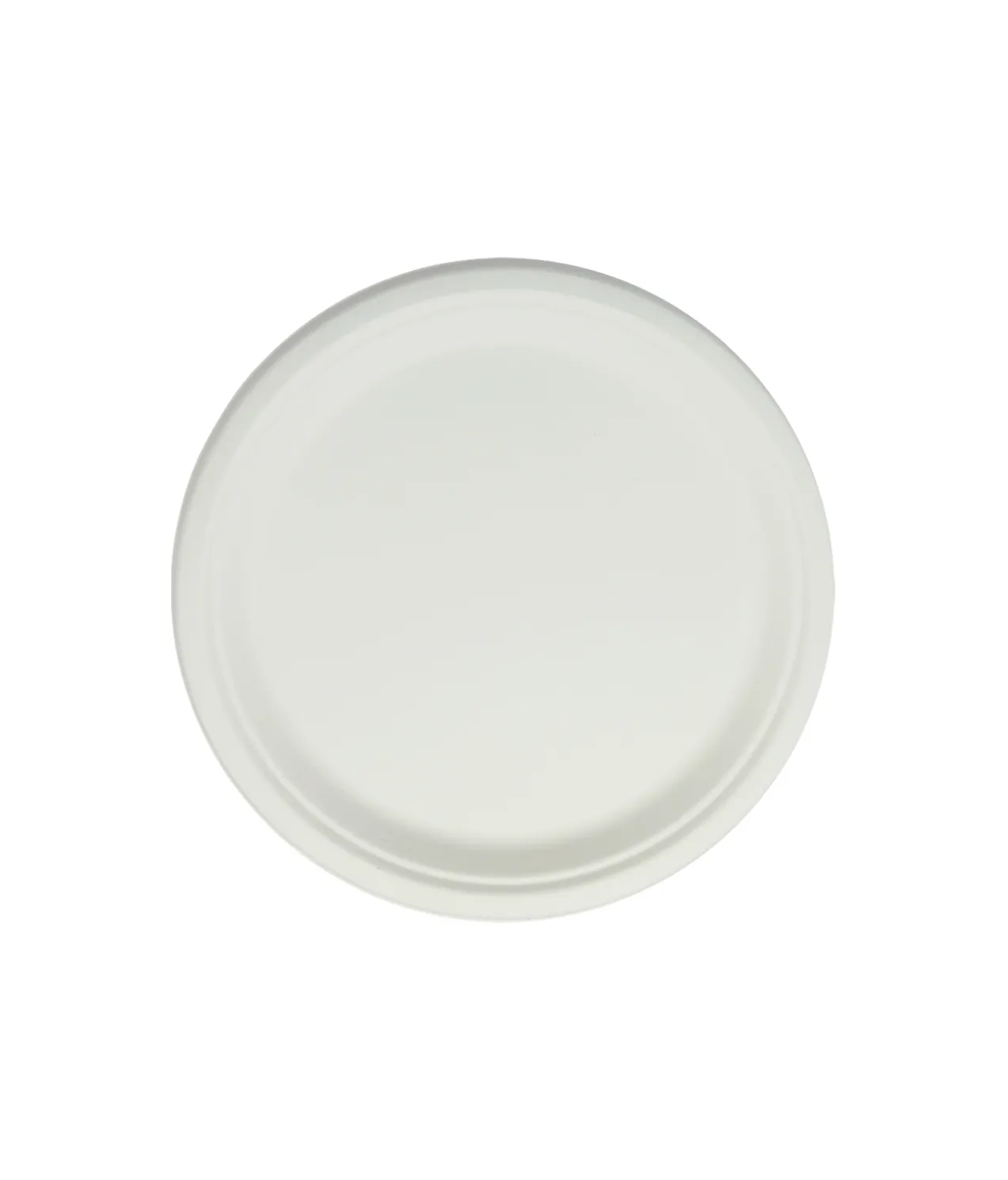 Biodegradable Plate 10in 50pc
