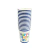 Birthday Boy Paper Cup 9oz 16pcs