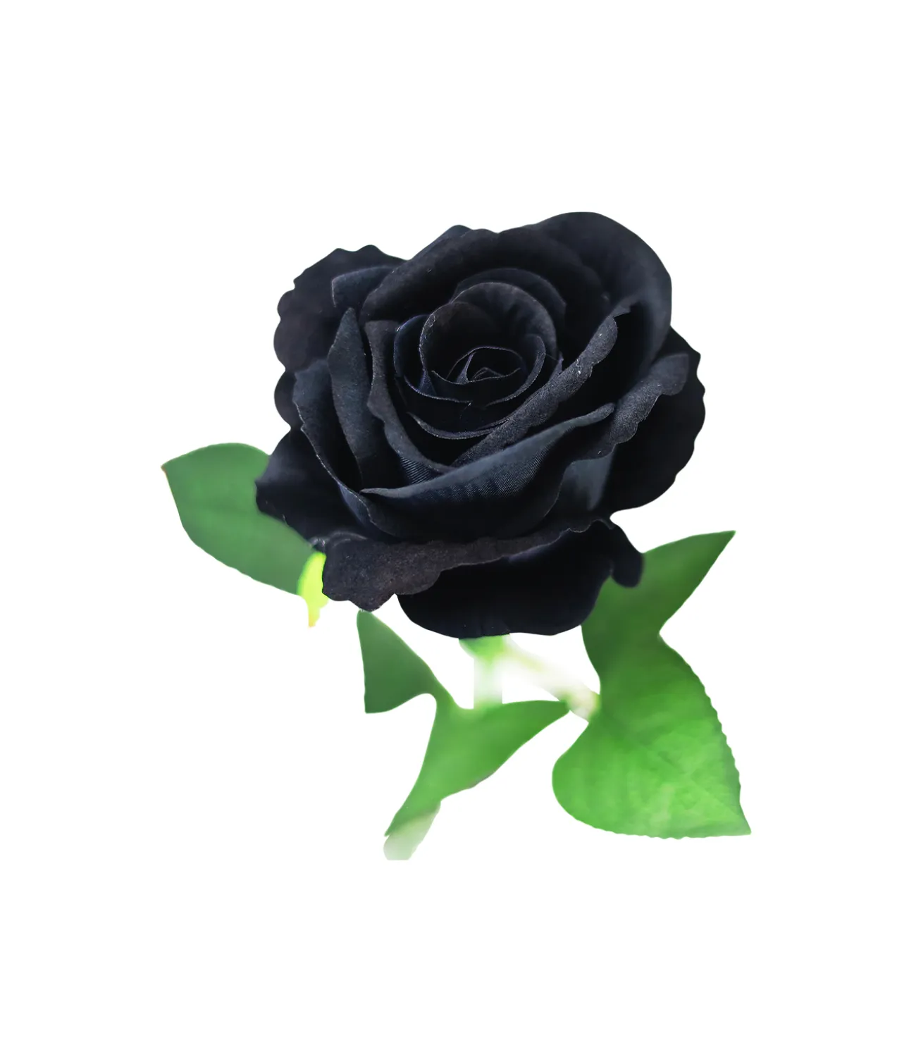 Black Artificial Velvet Rose 51cm