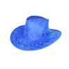 Blue Cowboy Hat