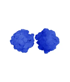 Blue Flower Bra