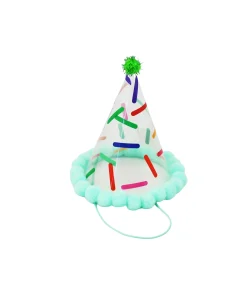 Blue Party PVC Clear Hat