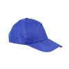 Blue Snapback Cap For Adult