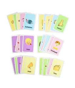 Body Part Flash Card 36pc 7.8×11.7cm