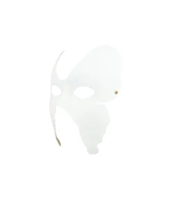 Butterfly Paintable Paper Mask