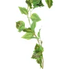Cattail Vine 200cm Assorted