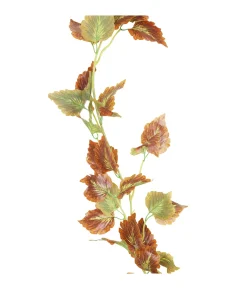 Cattail Vine 200cm Assorted