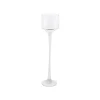 Clear Glasses Martini Vase Height 500mm