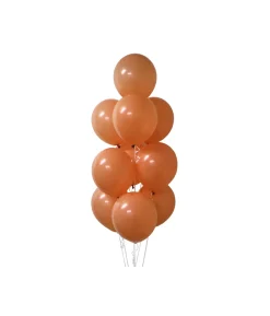 Coco Morandi Latex Balloons 12inch 20pk
