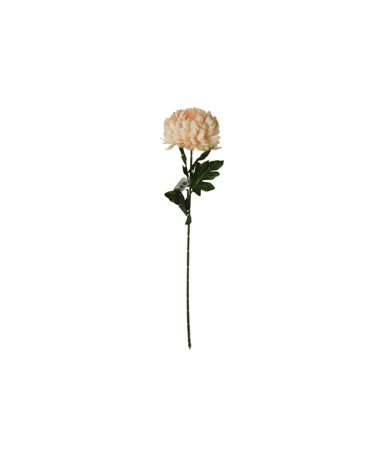 Cream Chrysanthemum Pongee 70cm