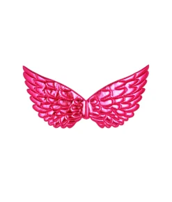 Cute Angel Wings Assorted