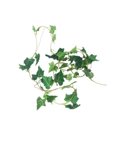 Dark Green Maple Leaf Cane 275cm
