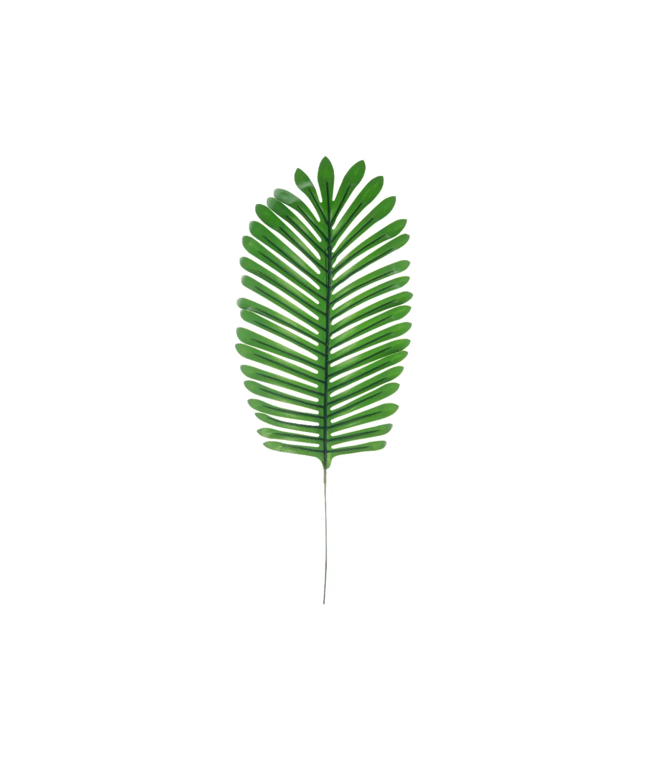 Dark Green Needle Leaf Stem 55cm