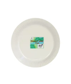 Dinosaur Paper Plates 9in x 12pc