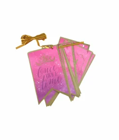 Disney Princess Pennant Banner
