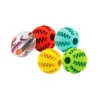 Dog Dental Ball Assorted