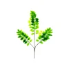 Elm Tree Branch 65cm