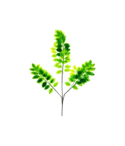 Elm Tree Branch 65cm