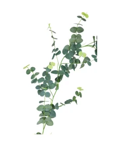 Eucalyptus Garland 190cm Assorted
