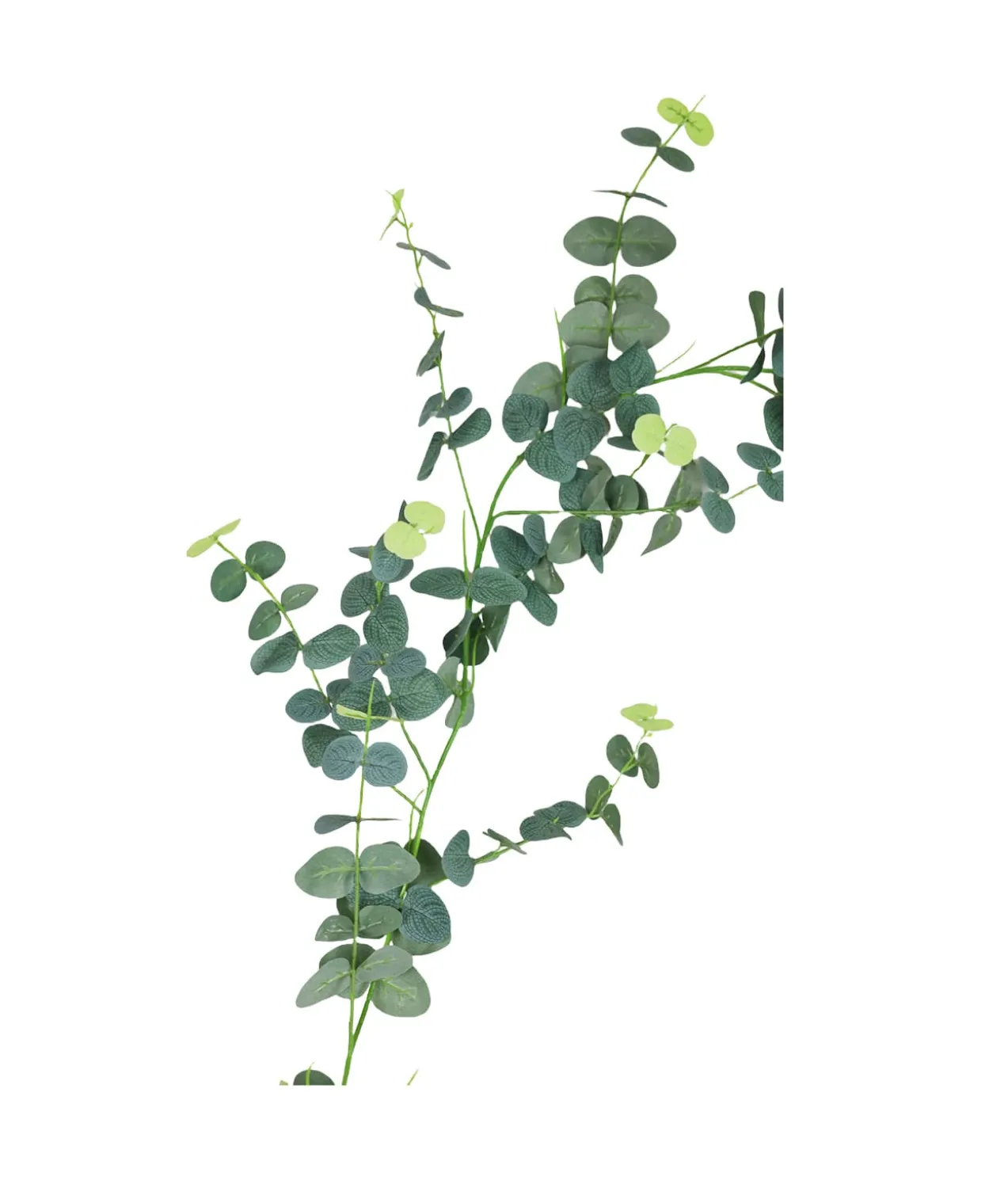 Eucalyptus Garland 190cm Assorted