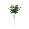 Eucalyptus 16 Stem Bush