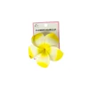 Frangipani Flower Hairclip 10cm assorted