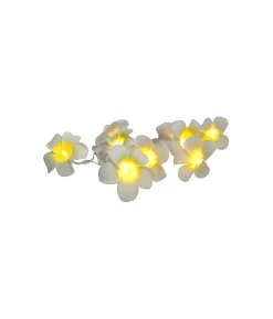 Frangipani Warm White Lights 1.5m
