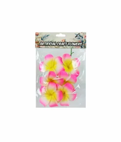 Fuchsia Yellow Frangipani 8cm 6pc