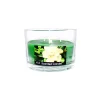 Gerdenia Scented Candle In Glass Jar