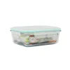 Glass Storage Container With Plastic Snap Lid 20.6×15.6×7.5cm