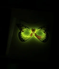 Glow In The Dark Butterfly Mask 1pc