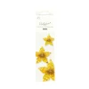 Gold Metallic Star Paper Fan Set 3pc