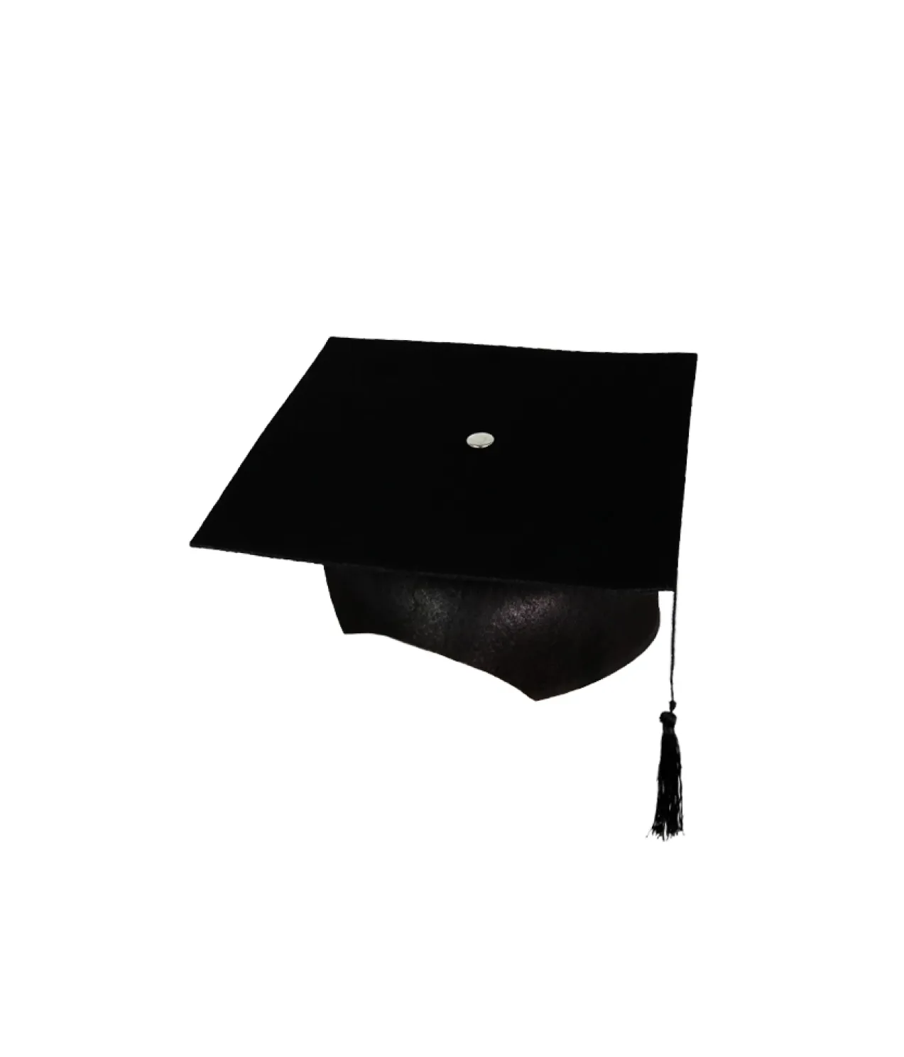 Graduation Felt Hat