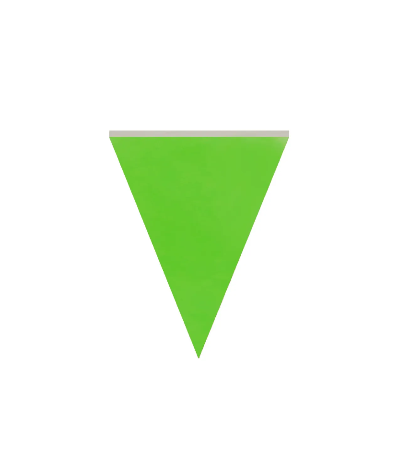 Green Flag Bunting 10m
