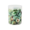 Green Natural Sea Shells 300g