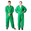 Green Overalls Adult
