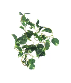 Green Plantsvane 275cm