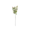 Green & Red Eucalyptus Stem 67cm