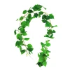 Green Wisteria Vine 200cm