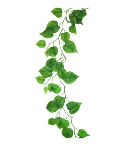 Green Wisteria Vine 185cm Assorted