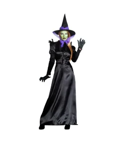 Green Witch Adult