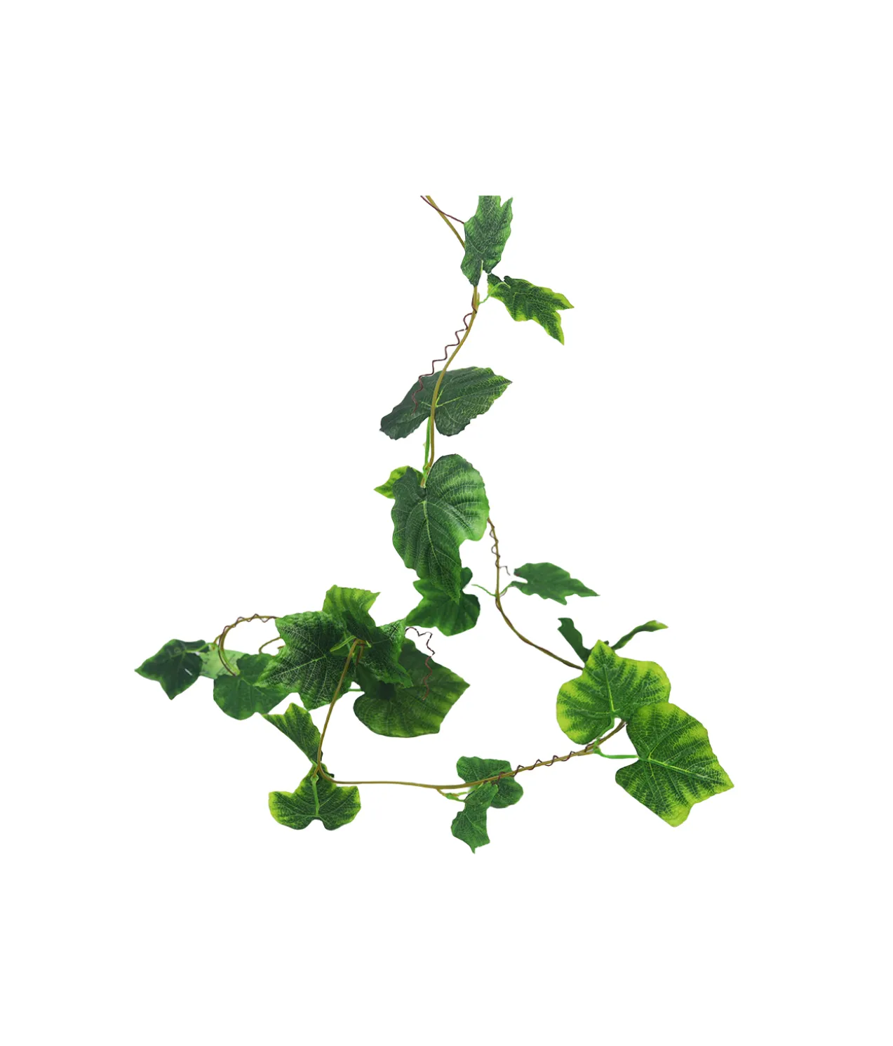 Green & Yellow Maple Leaf Cane 275cm