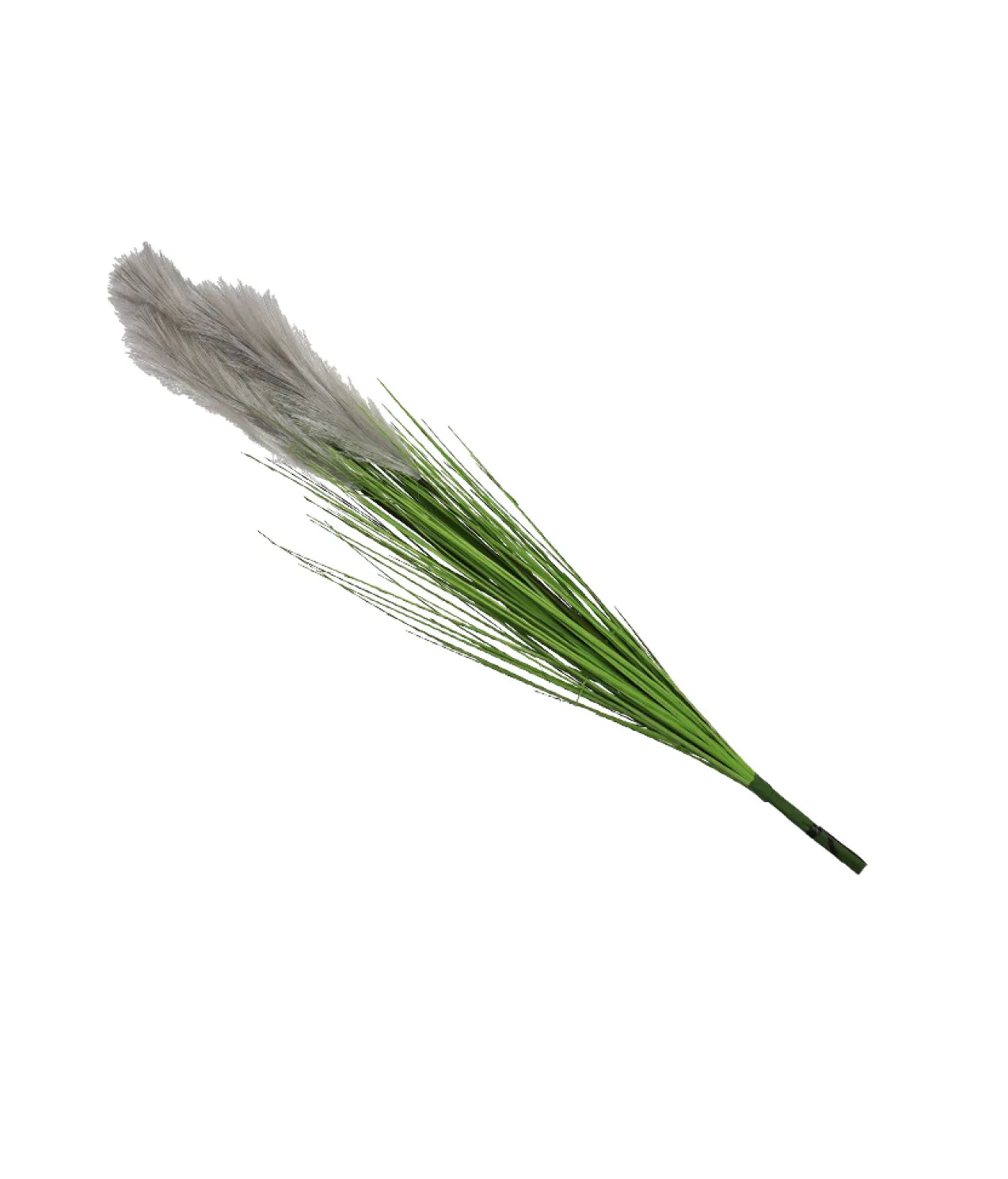 Grey Silk Reed 88cm
