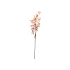 Hot Pink Cherry Blossom 4 Bunch 100cm