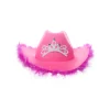 Hot Pink Cowboy Hat With Feathers
