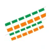 Ireland Flag Bunting 5m