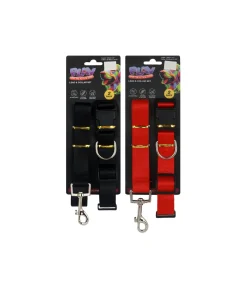 Lead & Collar Set Assorted